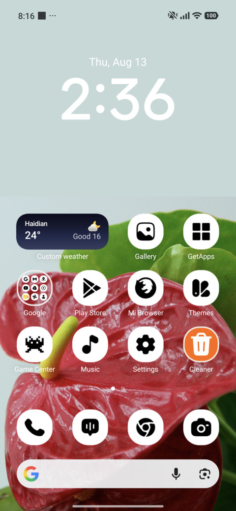 Ruby Anthurium screenshot