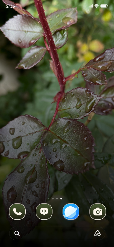 Wet Leaf screenshot