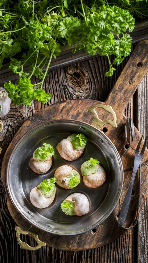 轻奢美食 蜗牛 screenshot