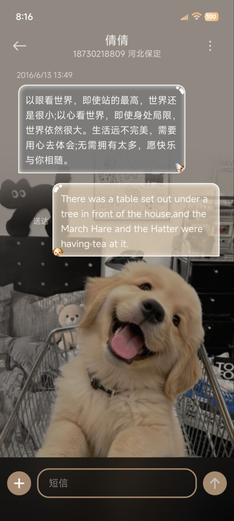 鱼眼景深汪汪队 screenshot