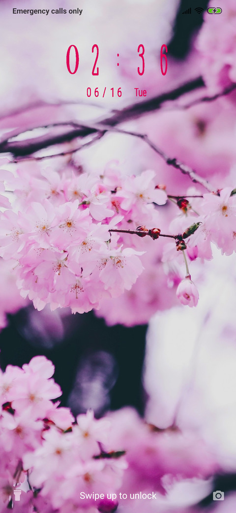 Cherry Blossom_3MDP screenshot