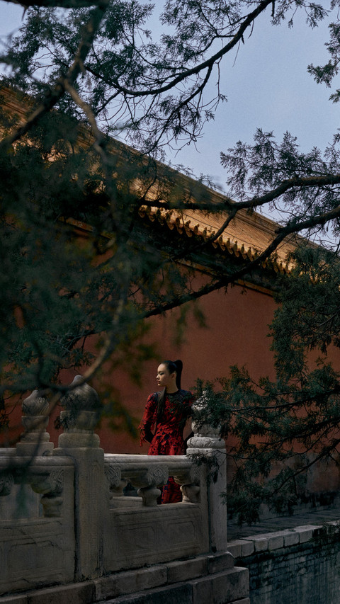 秋色妆点紫禁城 screenshot