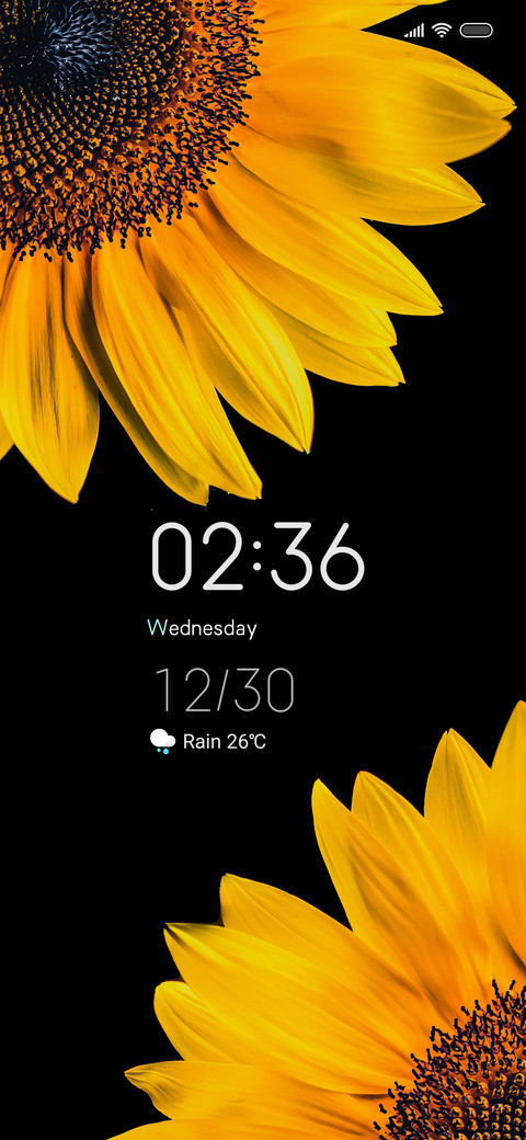FlowerSun On screenshot