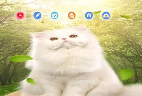 萌萌猫 screenshot