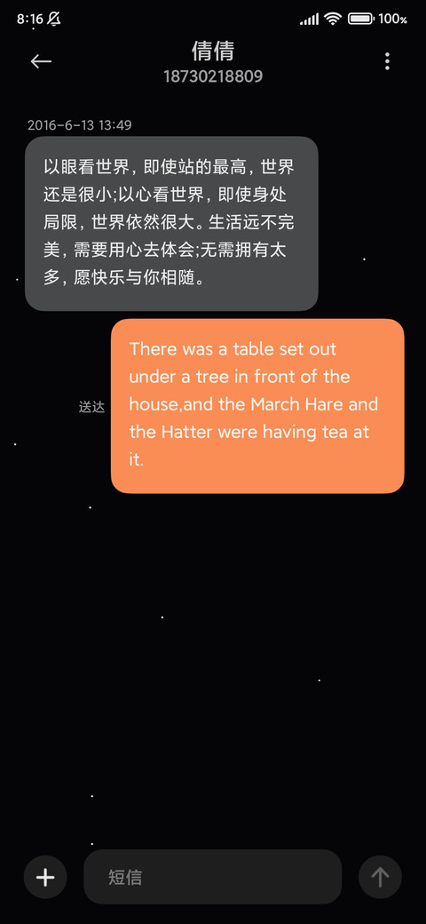 极简黑白pro screenshot