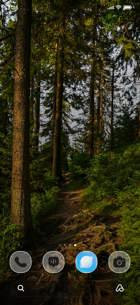 Forest Trail screenshot