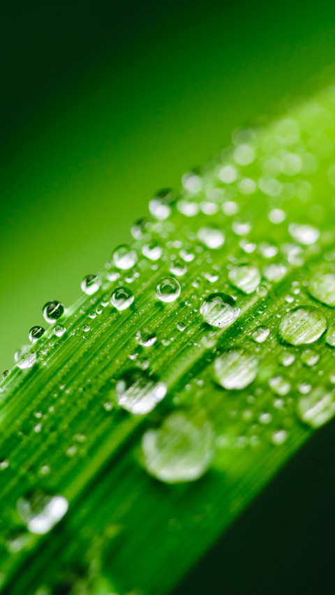 Raindrops (12) screenshot