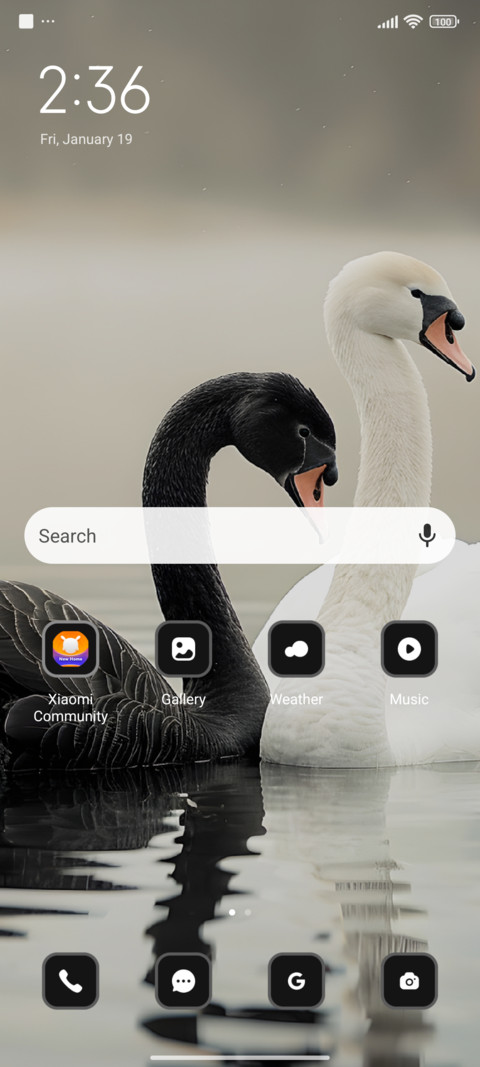 Swan screenshot