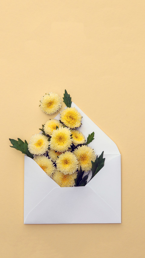 A Letter from Spring screenshot