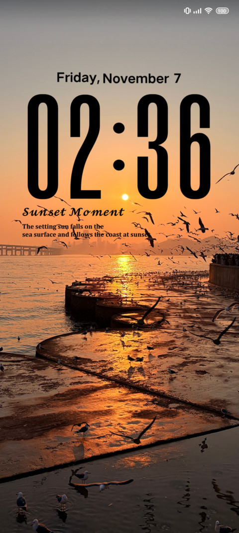 Sea and birds screenshot