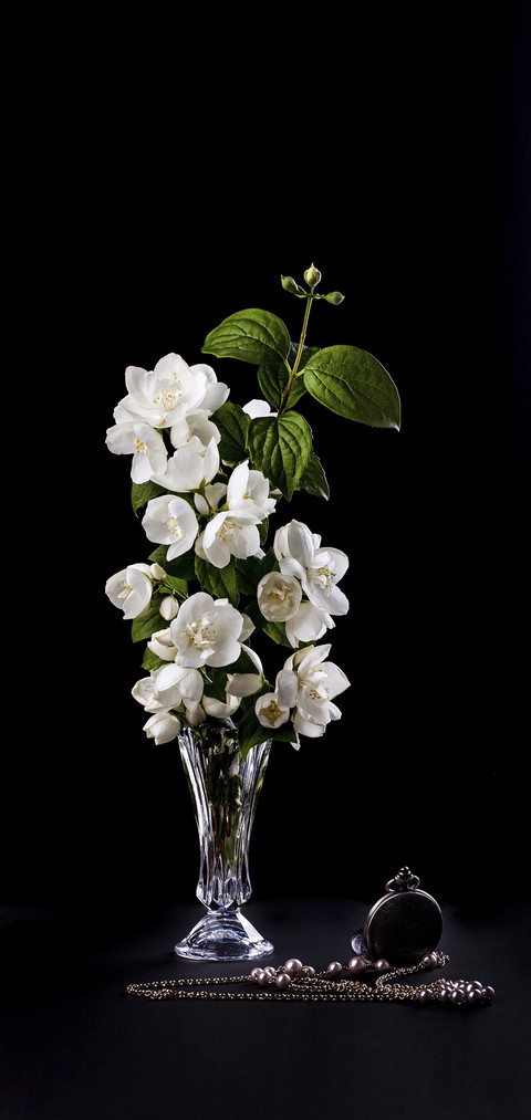 Do you know how to keep fresh flowers 9 screenshot
