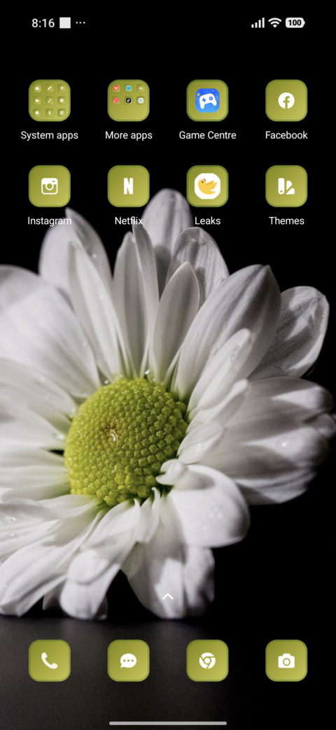 Flower screenshot