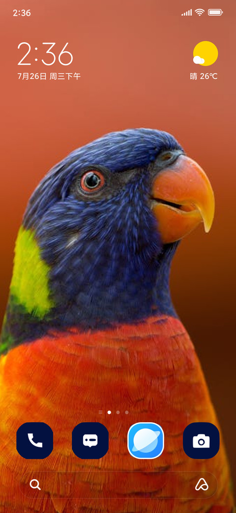 colorful bird screenshot