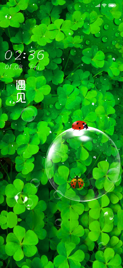 遇见幸运草绿色护眼 screenshot