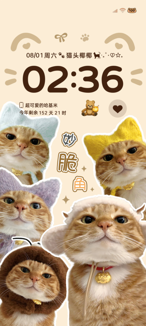 可爱猫猫头多图 screenshot