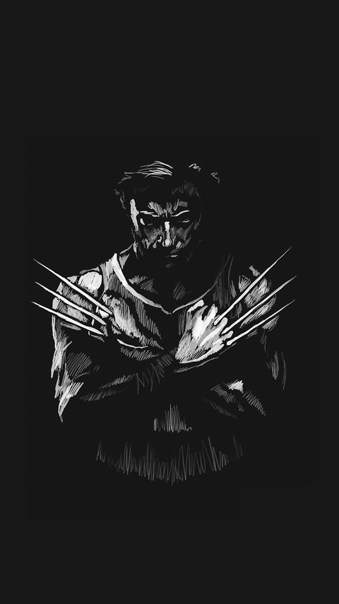 wolverine screenshot
