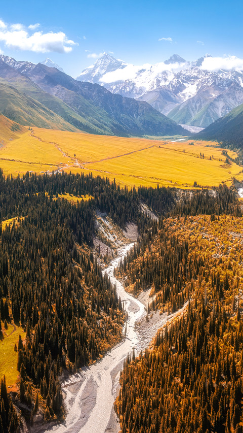 National autumn scenery extravaganza screenshot