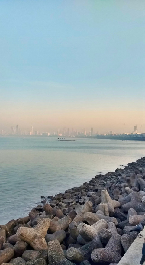 Mumbai Vibes (19) screenshot