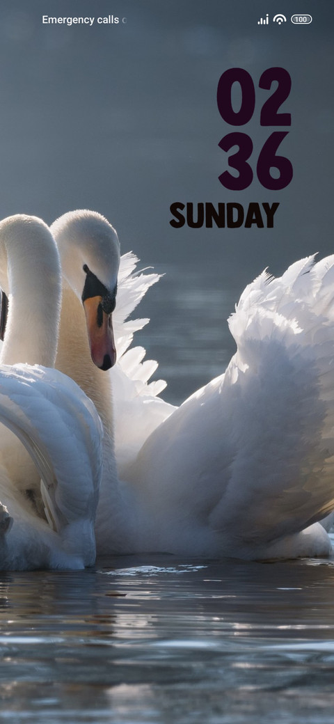 Swan screenshot