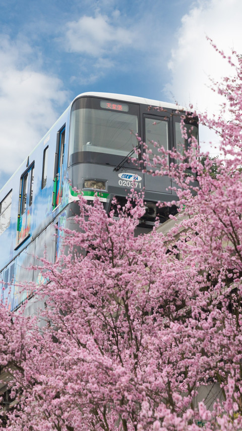 Spring Train Flower Sea Journey screenshot