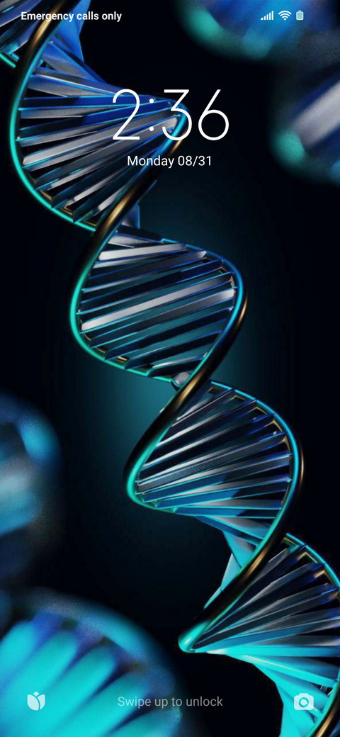 DNA v12 screenshot