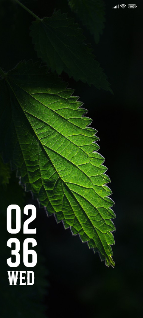 Dark Leaf screenshot