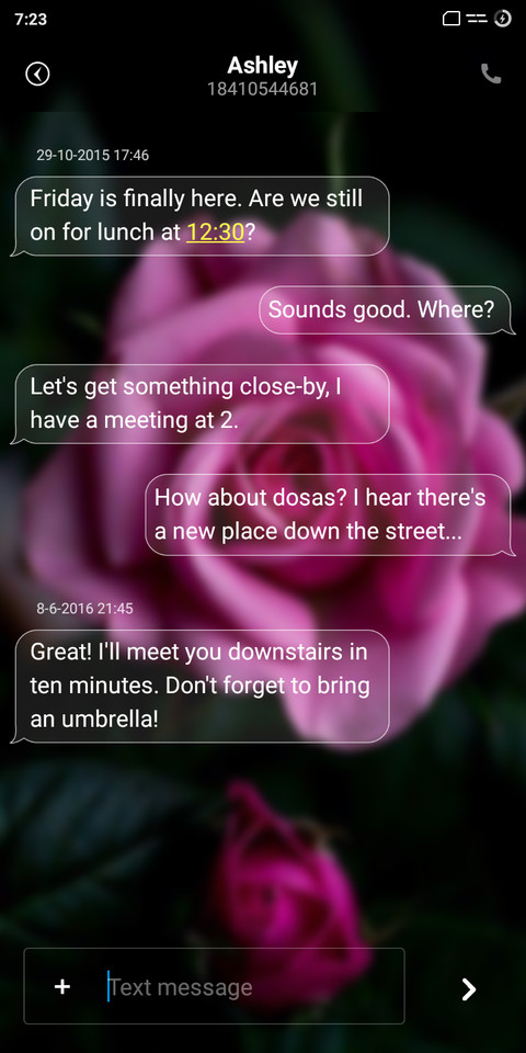 MiOs screenshot