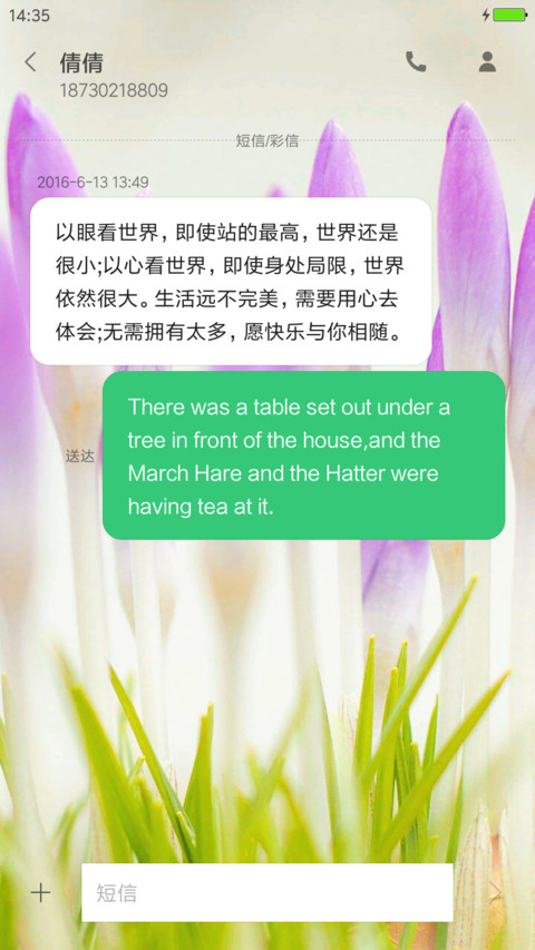 花之微距 screenshot