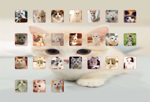 猫猫 screenshot