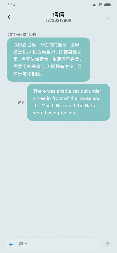 半白拟态 screenshot