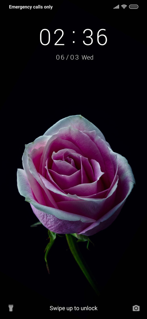 Rose_3MDS screenshot
