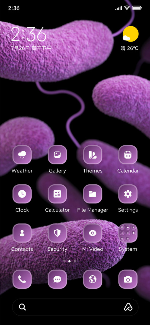 Virus screenshot