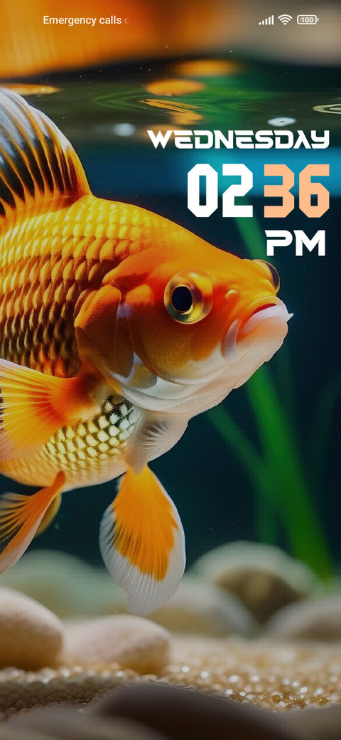 Golden Fish screenshot