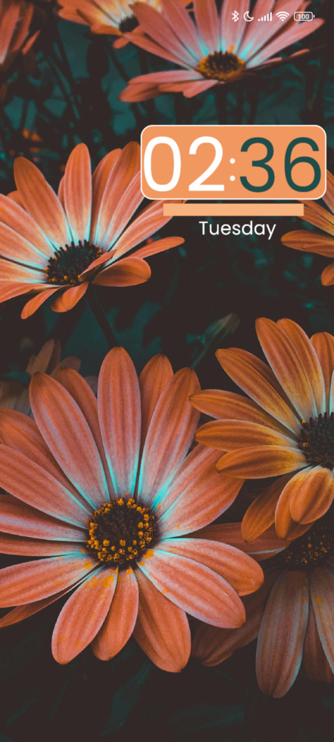 Daisy screenshot