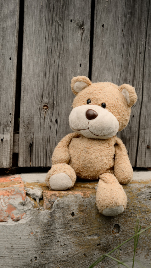 Teddy Day (4) screenshot