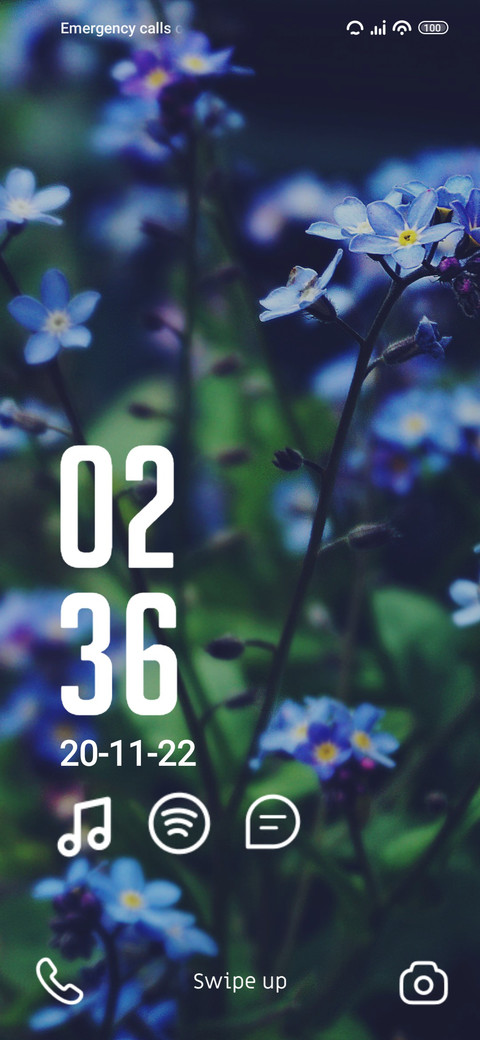 Tulips screenshot