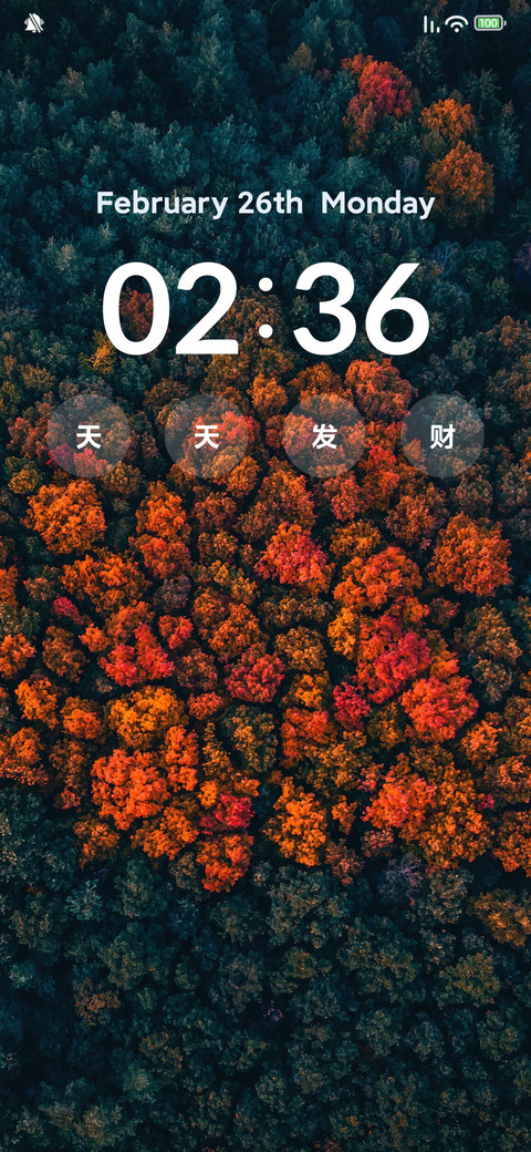 枫树护眼 screenshot
