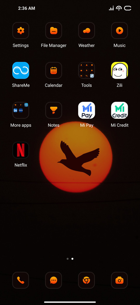 Dark Bird screenshot