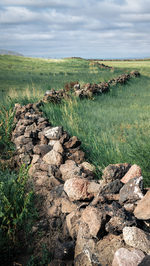 Pasture Fence screenshot