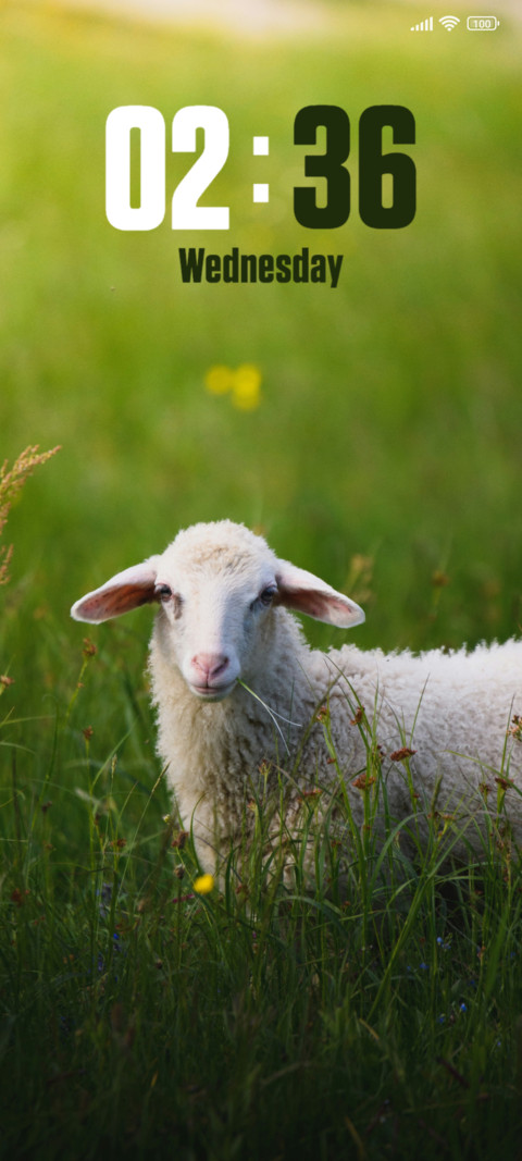 Sheep screenshot