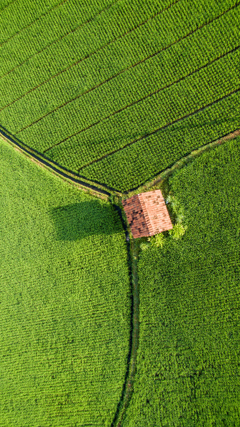 Farmland fields screenshot