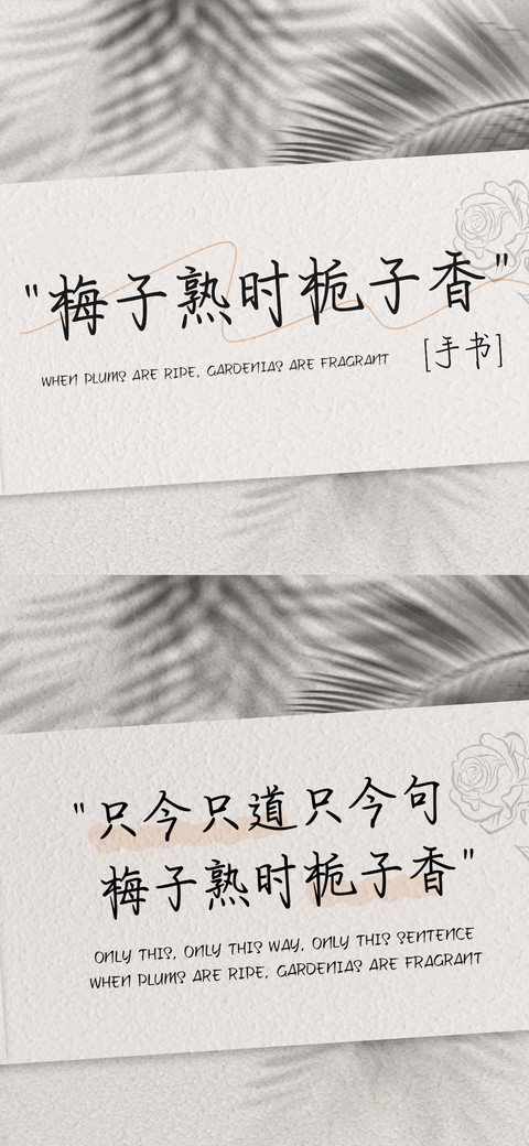 梅子熟时栀子香手书 screenshot