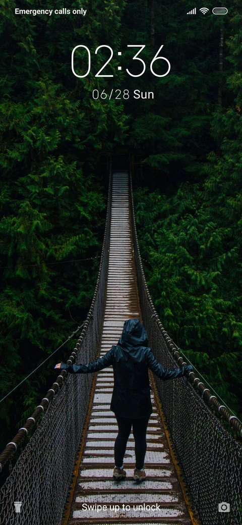 JungleBridge_3MDS screenshot