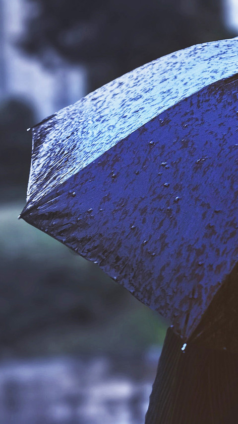 Umbrella story (12) screenshot