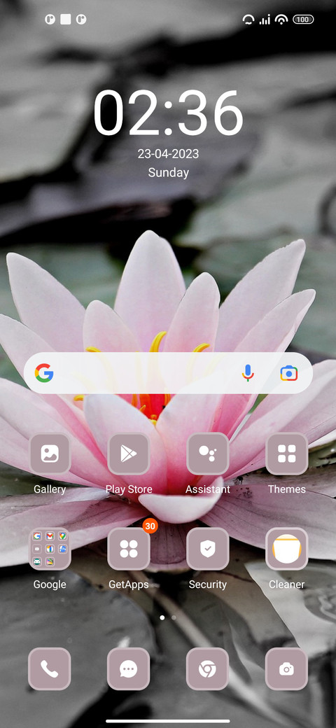 Lily screenshot