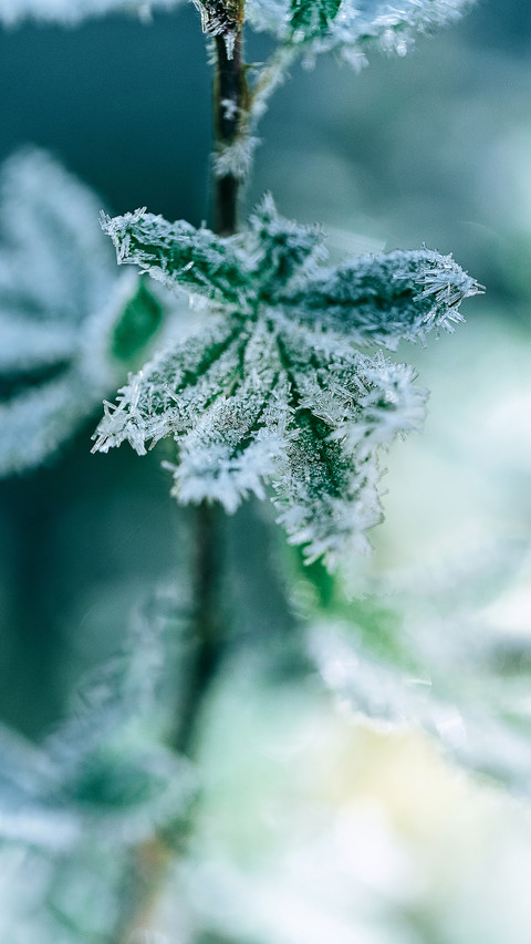 A cold morning screenshot