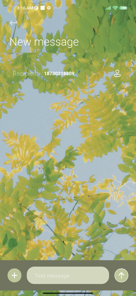 Eye care green screenshot
