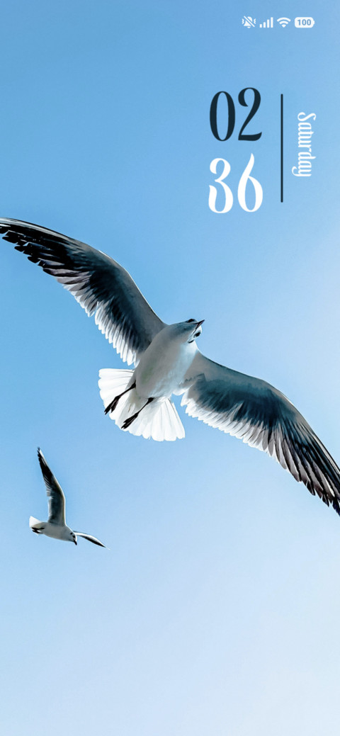 Ocean Glide screenshot