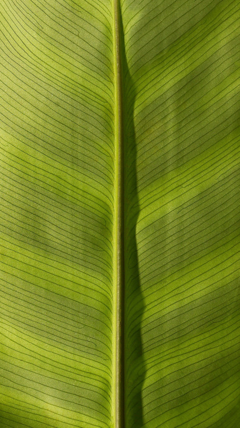 Pattern Play (9) screenshot