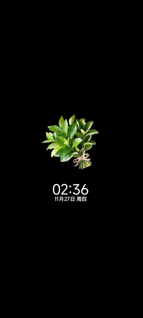 柚子叶壁纸 screenshot